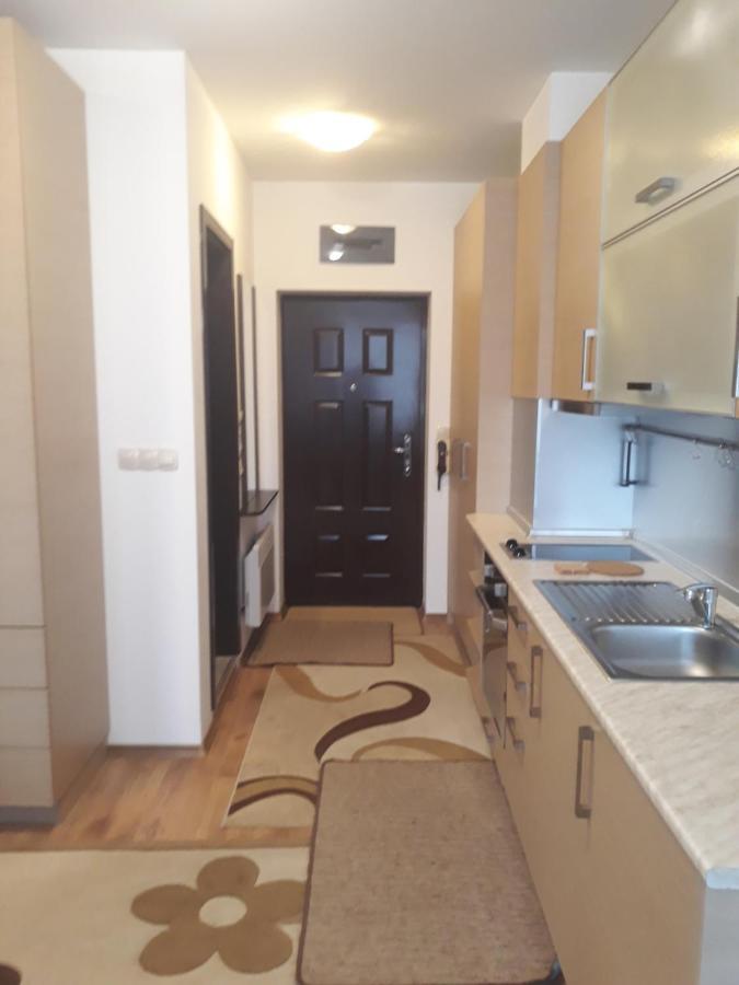 בנסקו Studio Detelina Residence מראה חיצוני תמונה