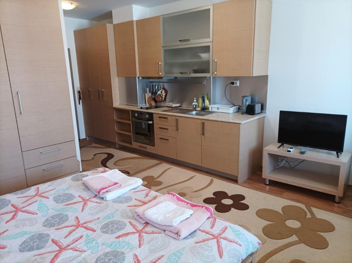 בנסקו Studio Detelina Residence מראה חיצוני תמונה